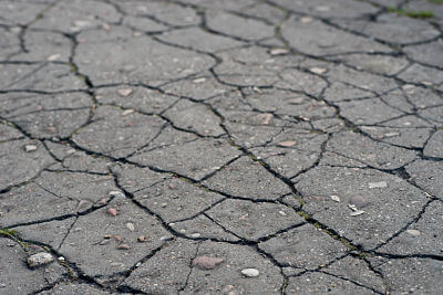 Close Up view of cracked concrete