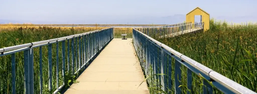 Foundation repair in Alviso, CA - marsh at Alviso Marina County Park, San Jose, California