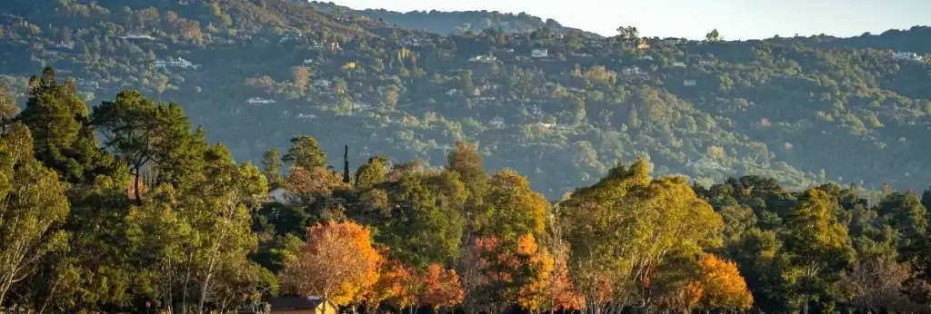 View of hillside houses in Los Gatos, CA from Vasona Lake Park